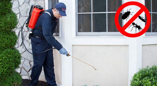 Beylikova Hamam Böceği İlaçlama böcek ilaçlama ve haşere kontrolü — ilaclama-tr.com
